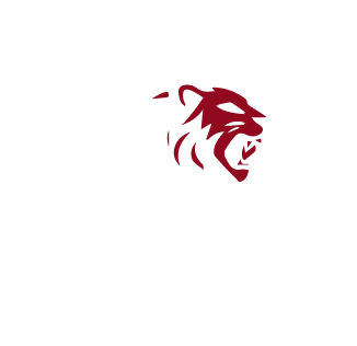 Logo Consultora Dialdi