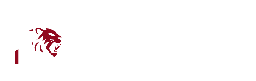 Logo Consultora Dialdi